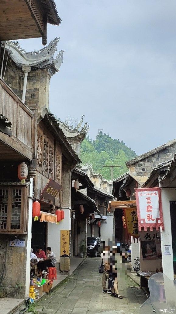 小猫钓鱼游戏龙王版有船